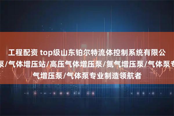 工程配资 top级山东铂尔特流体控制系统有限公司：气体增压泵/气体增压站/高压气体增压泵/氮气增压泵/气体泵专业制造领航者